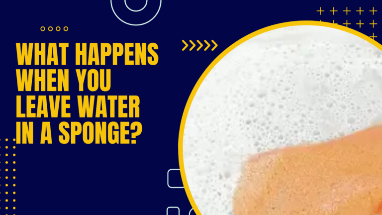 What Happens When you Leave Water in a Sponge?