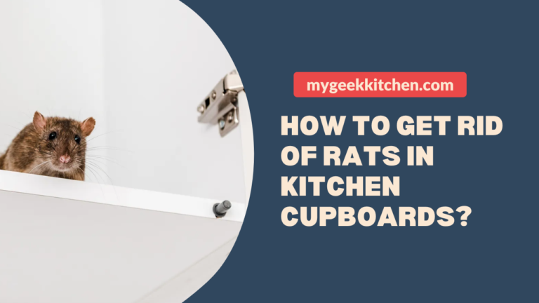 How to Get Rid of Rats in Kitchen Cupboards?